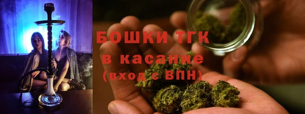 мяу мяу мука Аркадак