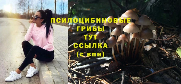 гидропоника Арсеньев
