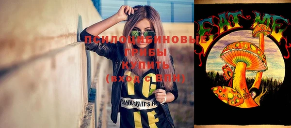 мяу мяу мука Аркадак