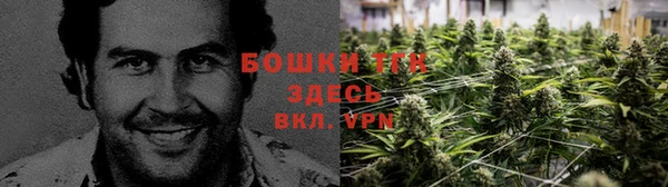 гидропоника Арсеньев