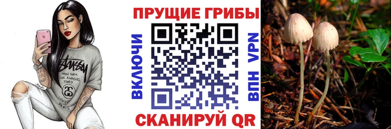 что такое наркотик  Приморск  Псилоцибиновые грибы Magic Shrooms 